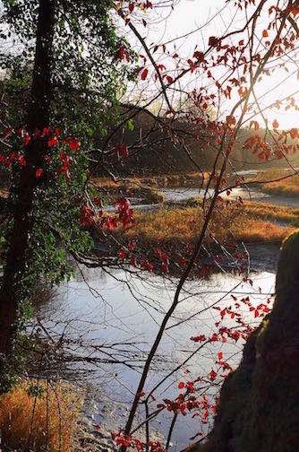 Wasserlandschaft_1