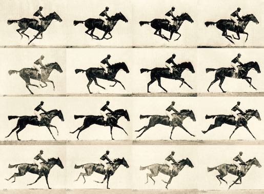 Muybridge_race_horse_gallop